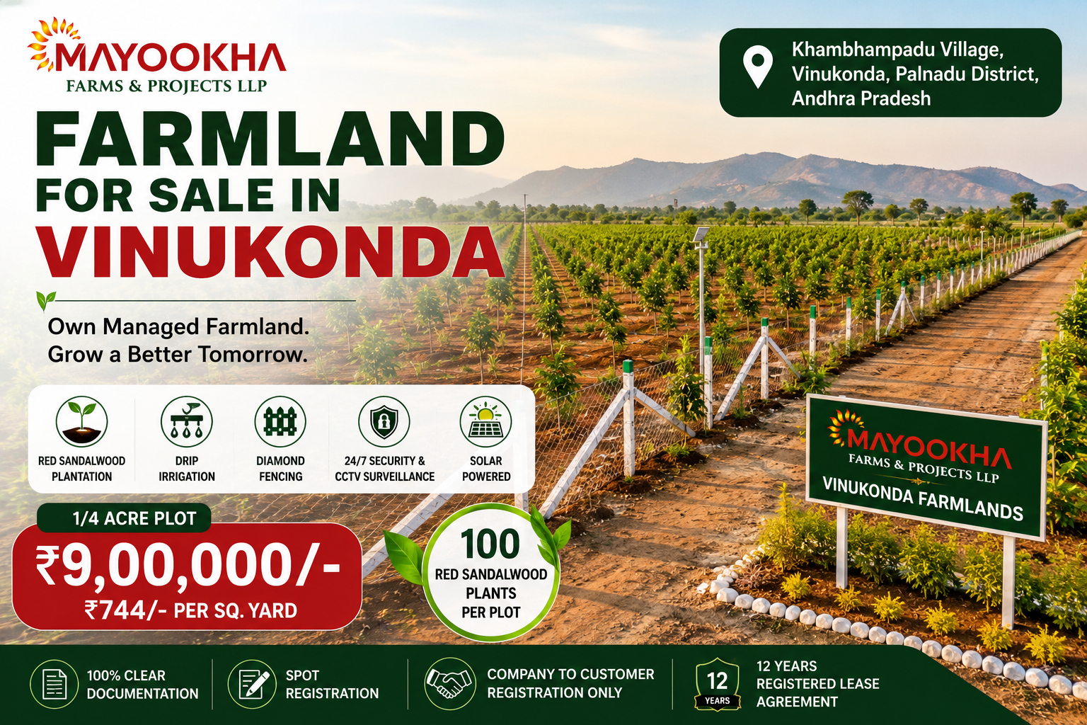 Farmland for Sale in Vinukonda: What to Know Before Buying a Managed Red Sandalwood Plot