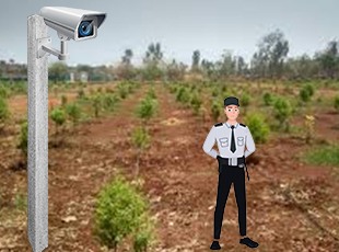 service thumbnail